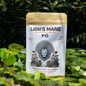 JUBA DE LEÃO EM PÓ – 30g (Lion’s Mane Mushroom Powder – Hericium erinaceus)