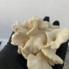 Magic popcorn - Imagem 2