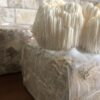 Bloco de Cultivo Pronto – Juba de Leão (Hericium erinaceus) - Imagem 7