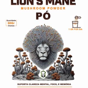 JUBA DE LEÃO EM PÓ – 30g (Lion’s Mane Mushroom Powder – Hericium erinaceus)