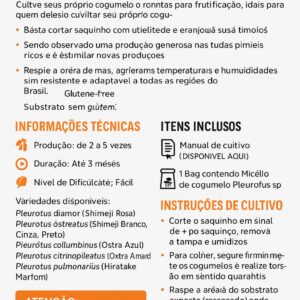 Kit Shimeji Rápido – Micelio de Pleurotus sp