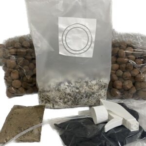Kit de Cultivo COMPLETO 1L de P. cubensis