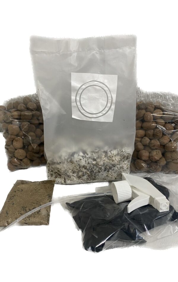Kit de Cultivo COMPLETO 1L de P. cubensis