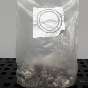 Bags colonizada 1L - Penis Envy #7 (PE7)