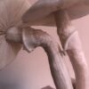 TAT Albino - True Albino Teacher - Imagem 4